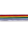 Elastique Multicolores - 3 cm